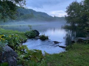 Read more about the article 国が「ネイチャーポジティブ経営」を促進