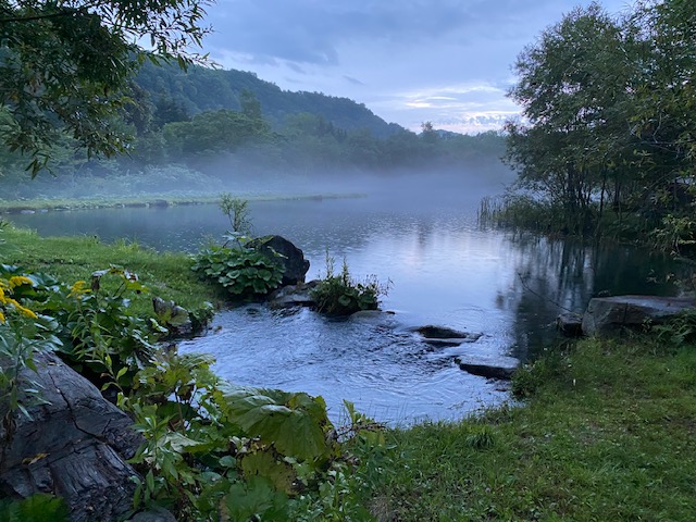 You are currently viewing 国が「ネイチャーポジティブ経営」を促進