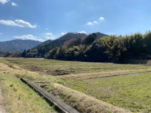 Read more about the article ネイチャーポジティブとOECMの違いって？？