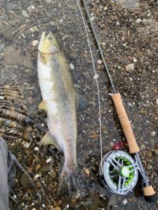 Read more about the article 循環の見直し