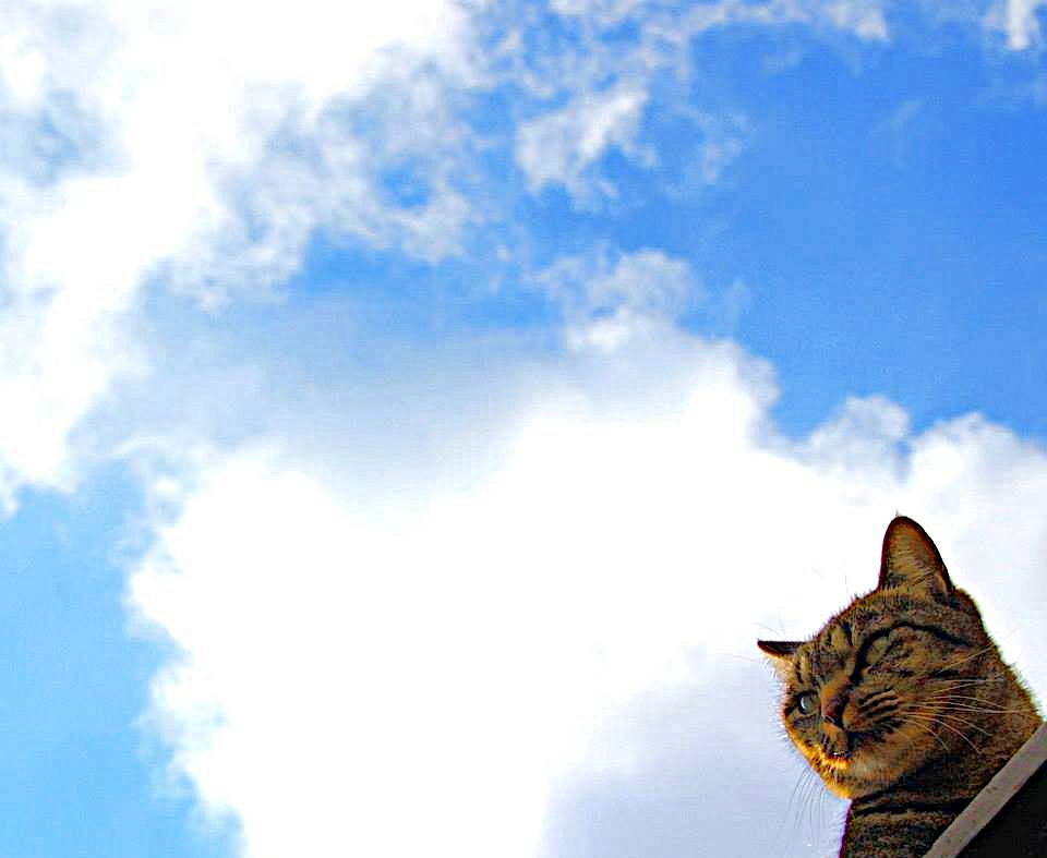 Read more about the article 明日へ。